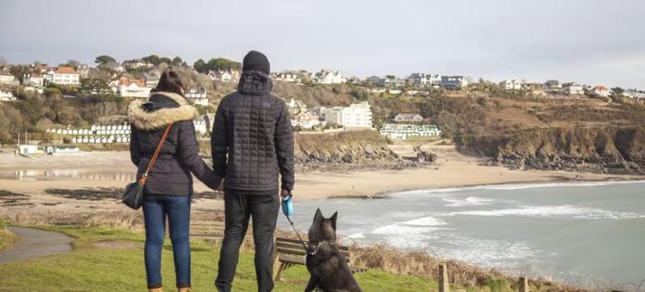 Dogs on beaches
