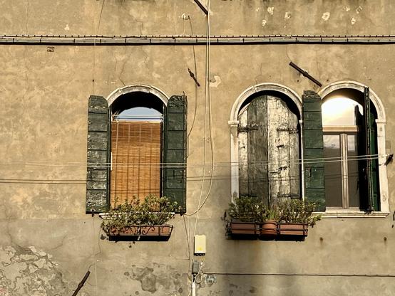 Three arched windows set in a sunlit ochre wall. The window on the left has its green wooden shutters open, revealing a nut-brown bamboo screen blocking the glass, and a window box of green flowers beneath it. The two windows on the right are set very close to each other, one with its shutters closed and also window-boxed, and the one on furthest right with shutters half-open, the afternoon sunlight luminous against the glass. There is a thick line of cables running along the top of the image, and a thin one running down the middle