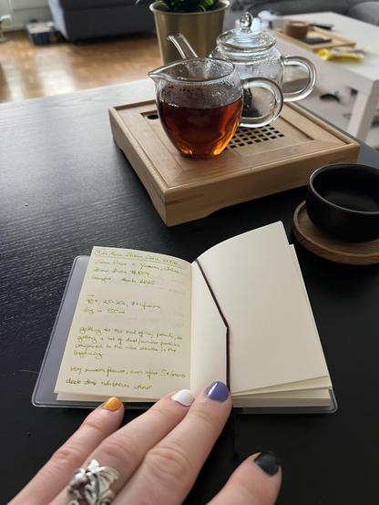 closeup of an interior page of the tea journal for  a puer tea from Yunnan, China with brewing steps and some positive tasting notes