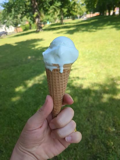 Photo of a hand holding an ice cream cone with ice cream. In the background is a green meadow with some trees.