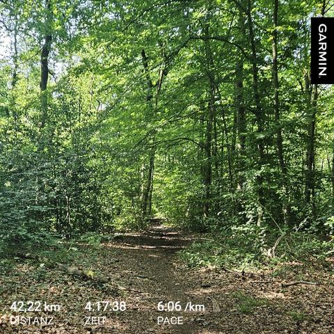 ein schmaler, von blättern bedeckter waldweg führt geradeaus durch einen dichten laubwald. die bäume sind hoch und tragen sattgrüne blätter, die das sonnenlicht nur teilweise durchlassen. das licht fällt fleckig auf den boden. unten im bild sind laufdaten eingeblendet: 42,22 kilometer distanz, 4 stunden 17 minuten 38 sekunden laufzeit, pace 6 minuten 6 sekunden pro kilometer.