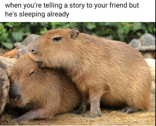 Imagen de un capibara