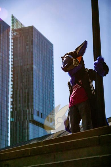 A photograph of tall glass skyscrapers to the left and a protogen fursuiter looking over a ledge to the right. The photo is taken below at the bottom of the ledge casting the fursuiter in partial shade. The partial protogen fursuit has blue and black fur and metallic silver and bronze paints over the plastics.