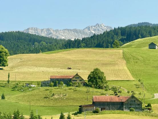 zwei traditionelle bauernhäuser, das heu auf der wiese wird zusammengetragen und darüber sieht man den berg