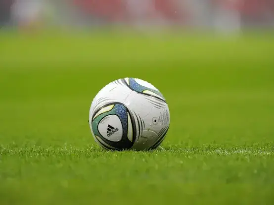 Preview: Shimizu S-Pulse vs Gamba Osaka - prediction, team news, lineups