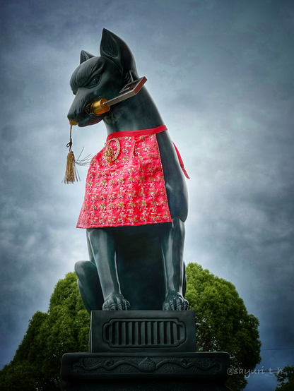 Stone statue of the fox with red and gold cloth bib. Holding golden makimono(rolled paper with writing) in his mouth