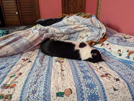 A tuxedo cat sleeping on a bed with winter Peanuts-themed blankets. He is laying on his side, facing away from the camera.