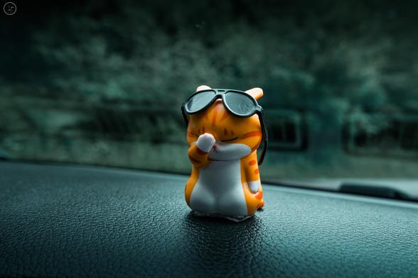 Orange and white cat figure with shades on dashboard