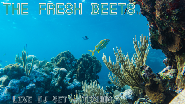 Underwater seascape with coral and seemingly happy fish.

The top left corner is titled "The Fresh Beets" and the bottom left corner is subtitled "Live DJ Set - Techno."