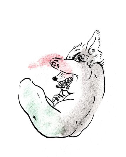 dessin à l'aquarelle et à l'encre dans les tons noirs, vert et rouge, une créature à tête de loup assise nue et de dos regarde dessière son moignon, elle a des seins et un pénis