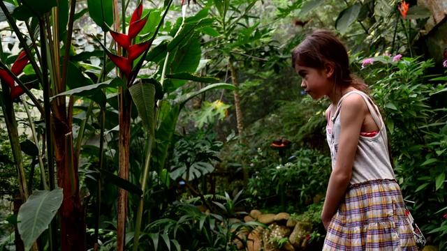 #News: 🧠 #Research reveals that thinking about the future and writing a letter to a child in the future motivates #climateaction and boosts engagement with environment. #BehavioralScience #Campaigns #SciComms #Comms 🌴🩸🚜🔥⛔️ #Boycott4Wildlife 
https://www.sciencedaily.com/releases/2025/05/250514180737.htm?utm_source=mastodon&utm_medium=Palm+Oil+Detectives&utm_campaign=publer