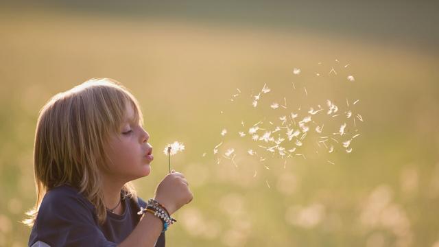 #News: 🧠 #Research reveals that thinking about the future and writing a letter to a child in the future motivates #climateaction and boosts engagement with environment. #BehavioralScience #Campaigns #SciComms #Comms 🌴🩸🚜🔥⛔️ #Boycott4Wildlife 
https://www.sciencedaily.com/releases/2025/05/250514180737.htm?utm_source=mastodon&utm_medium=Palm+Oil+Detectives&utm_campaign=publer