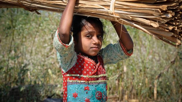 #News: 🧠 #Research reveals that thinking about the future and writing a letter to a child in the future motivates #climateaction and boosts engagement with environment. #BehavioralScience #Campaigns #SciComms #Comms 🌴🩸🚜🔥⛔️ #Boycott4Wildlife 
https://www.sciencedaily.com/releases/2025/05/250514180737.htm?utm_source=mastodon&utm_medium=Palm+Oil+Detectives&utm_campaign=publer