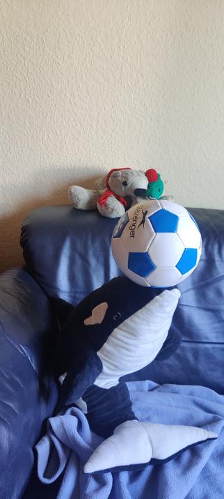 Plüschorca Panda sitzt auf dem Sofa und hält einen Ball auf seiner Schnauze.
Eisbär Theo und Wal mit Hut gucken zu.