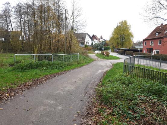 Schmale Asphaltstraße in Bildmitte. Eher im Hintergrund ein Wohngebiet. Lockere Bebauung. Viel Grün durch Gras. Wenig Blätter an Bäumen. Nicht-rostende Metallgeländer beidseits der Straße. Ein kleiner Strommast. Ein paar Schilder.