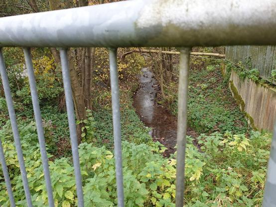 Blick durch Metallgeländer auf Bach. Um den kleinen, ruhig fließenden Bach herum niedrige Pflanzen und kleinere Bäume. Man sieht, dass die Metallgeländer auf Betonmauern stehen.