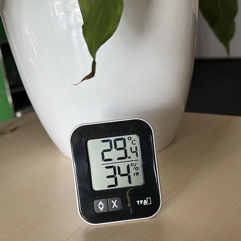 Auf einem hellen Holztisch steht ein digitales Thermo-Hygrometer vor einem weißen Blumentopf mit einer Zimmerpflanze. Das Display zeigt eine Temperatur von 29,4 °C und eine Luftfeuchtigkeit von 34 %. Das Gerät hat ein schwarzes Gehäuse mit weißen Bedientasten unten.