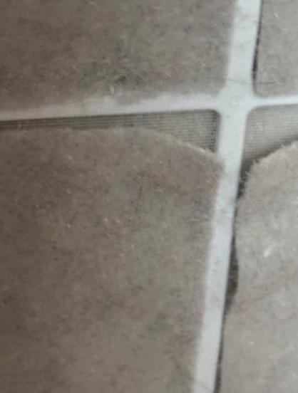 Nahaufnahme von einem Trotec Vorfilter vom Airgoclean 250E mit Partikelanhaftungen.
Hier lösen sich Anhaftungen von Staubpartikeln vom Trotec Vorfilter.