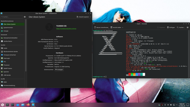 Dell Inspiron 15 Gaming 7567 running TUXEDO OS