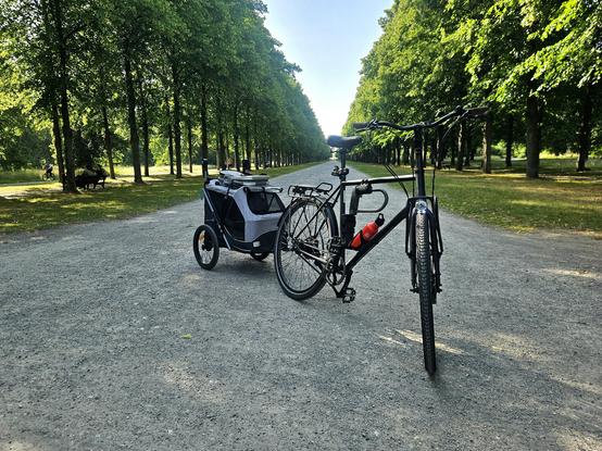 Foto eines schwarzen Trekkingfahrrads mit einem grauen Anhänger an der hinteren Nabe. Im Hintergrund sieht man einen langen Kiesweg, Bäume und Rasenflächen eines Parks.