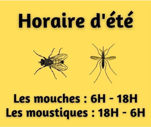 Sur l'image :

Titre : Horaire d'été
Suivi du dessin d'une mouche et d'un moustique
En dessous : Les mouches : 6H - 18H 
Les moustiques : 18H - 6H
