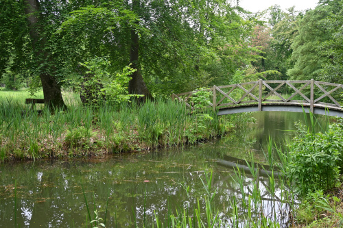 kleine Holzbrücke über Wasserlauf im Grünen
