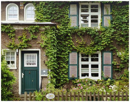 Das Bild zeigt die Vorderseite eines älteren zweistöckigen Hauses, das dicht mit wildem Wein bewachsen ist. Die Wände sind aus einem grauen Stein oder Beton, und die Fassade ist durch die üppige grüne Vegetation fast vollständig verdeckt, was eine natürliche und friedliche Atmosphäre schafft. An der Vorderseite des Hauses befindet sich eine dunkelgrüne Holztür mit einer kleinen, weißen, gitterartigen Fenster-Einheit im oberen Teil. Die Tür ist einfach, aber elegant gestaltet. Neben der Tür ist ein Briefkasten angebracht. Über der Tür befinden sich zwei halbkreisförmige Fenster mit weißen Rahmen, die ebenfalls von den Ranken des Efeu teilweise verdeckt sind. Darüber, im oberen Stockwerk, sind zwei größere Fenster mit weißen Rahmen und grünen Fensterläden zu sehen. Die Fensterläden sind teilweise geöffnet. Ein kleiner Vogelkasten ist an der Wand zwischen den oberen, halbkreisförmigen Fenstern angebracht. Vor dem Haus befindet sich ein kleines, ordentliches Beet mit verschiedenen Blütenpflanzen, rosa Rosen und weißen Blumen – ein buntes Blumenmeer, welches einen schönen Kontrast zum Grün des Efeus bildet. Der Vorgarten ist durch einen kleinen, braunen Holzzaun abgegrenzt. Ein Schild mit der Aufschrift "Naturgarten" ist an dem Zaun platziert. Das Gesamtbild präsentiert eine idyllische Szene, die Ruhe und Naturnähe ausstrahlt. Die Farben sind natürlich und beruhigend, die Stimmung entspannt und friedlich.