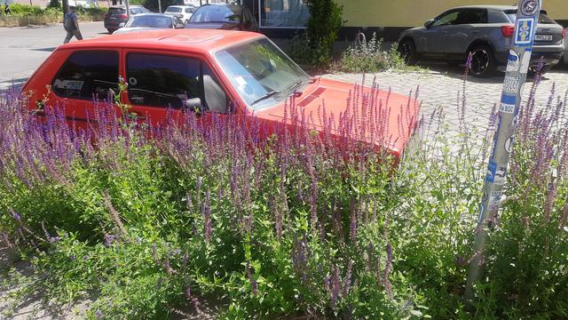 Das Foto zeigt eine Straße in Berlin-Moabit.
Ein rotes Auto steht inmitten einer mit lila Pflanzen überwucherten Straße.