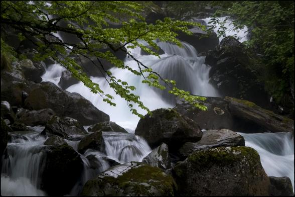 CAT
El que queda de la pluja
corre per llargs corriols
i també es aigua amara
la meva veu cansada.
L'aigua sadolla la mirada.

OC
Çò que demòra de la pluèja
corre per de longs camins
e es tanben aiga amara .
ma votz cansada.
L'aiga sacia l'agach.