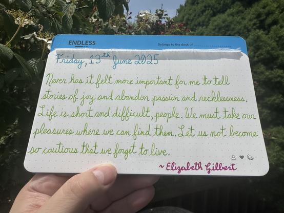 A pen quote of Elizabeth Gilbert that reads, “Never has it felt more important for me to tell stories of joy and abandon passion and recklessness. Life is short and difficult, people. We must take our pleasures where we can find them. Let us not become so cautious that we forget to live.”

Written using Wearingeul Robinson Crusoe, Diamine Kelly Green & Wearingeul Pride and Prejudice.