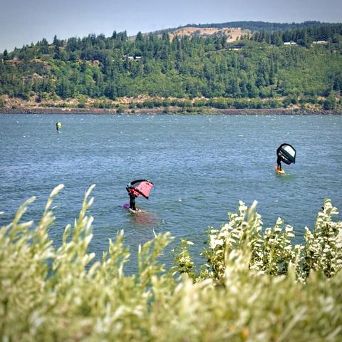 Three windsurfers catch strong breezes on the Columbia River under a sunny sky, with tree-covered hills towering in the distance.