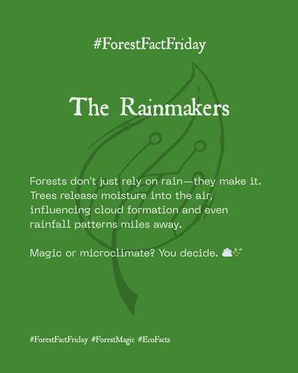 The Rainmakers