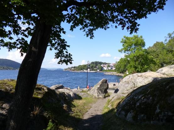 Blick auf einen Badeplatz. Im Vordergrund große Felsen teils in der Sonne, teils im Schatten den ein großer Baum spendet. Dieser bildet auch den Rahmen der Szene. Blauer Himmel über blauem Fjord bei strahlendem Sonnenschein.