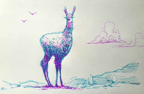 A pen drawing of a llama with unusually long legs standing with head turned toward the viewer. There are birds and clouds in the sky and hills in the background. The drawing was done with turquoise and purple Pilot Juice gel ink pens on standard drawing sketchbook paper.