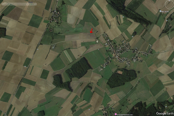 Nochmal anderes Jahr der Aufnahme mit wieder anderer Vegetationsphase.