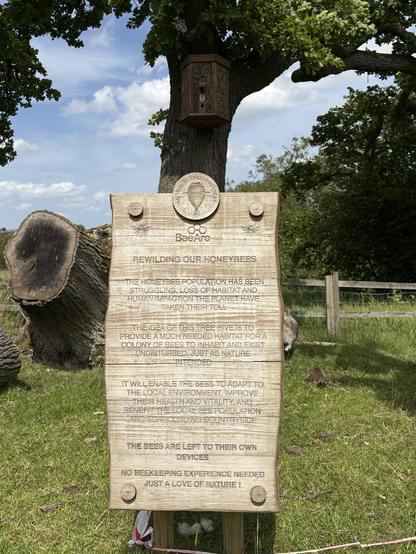 Natural honey bee hive