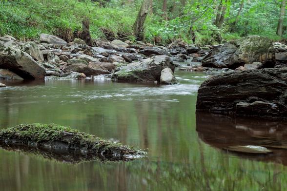 Low view of a creek, two prominent rocks, a low one on the left of the image and a slightly higher one on the right, are in the foreground. Just behind, there is the centre of the stream and on the other bank there are lots of different sized rocks for a meter or two before a background made up of forest vegetation.