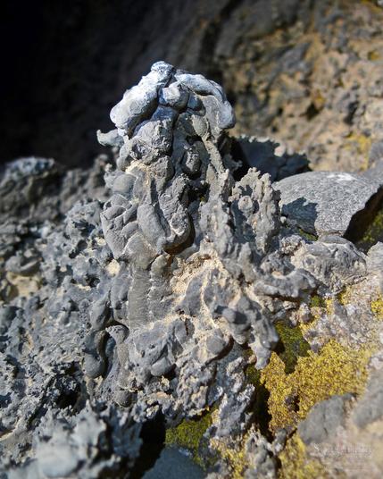 A stalagmite that has a rope like appearance in that it kinda looks like someone made it of really thick sillystring. The textures are maintained of the "ropey drips" of lava which you can see scattered into the background, but in the foreground built up about a foot high stalagmite. There is some yellow color, which is from bacteria most likely.