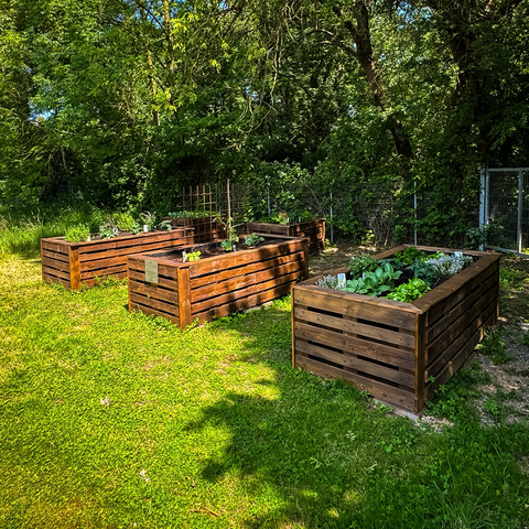 Drei große und zwei quadratische Hoch Beete mit Bepflanzung. Die Beete sind aus Holz gefertigt (Europaletten) und divers mit Salaten, Kräutern und weiteren Pflanzen bestückt.