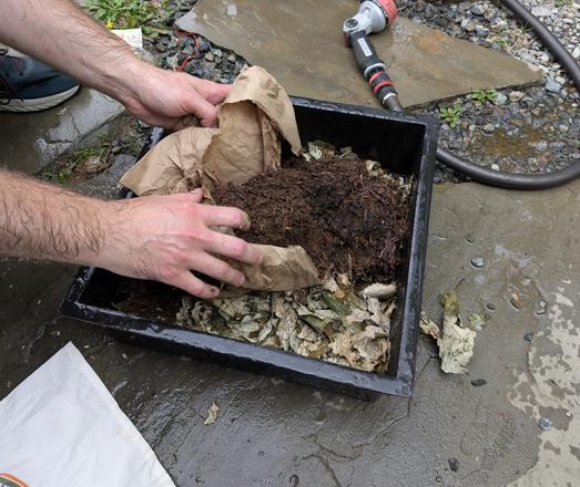 Hands opening a brown paper bag full of worms and pouring it onto a pile of crushed leaves in a worm composting bin