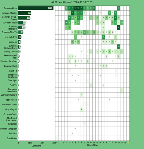 Today's top 20 bird chart