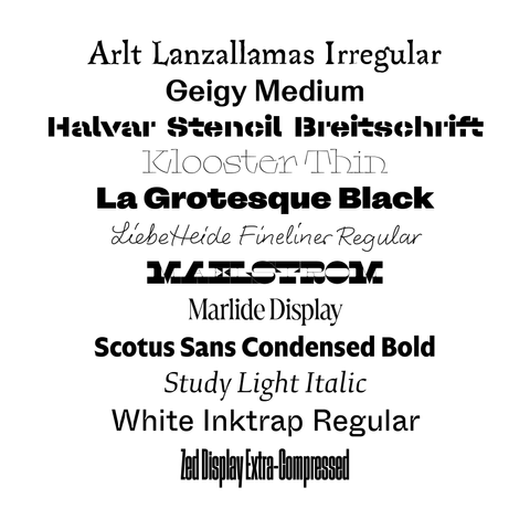 A list of free fonts for people completing the survey:

- Arlt Lanzallamas Irregular
- Geigy Medium
- Halvar Stencil Breitschrift
- Klooster Thin 
- La Grotesque Black
- LiebHeide Fineliner Regular
- Maelstrom
-  Marlide Display 
- Scotus Sans Condensed Bold 
- Study Light Italic 
- White Inktrap Regular
- Zed Display Extra-Compresed