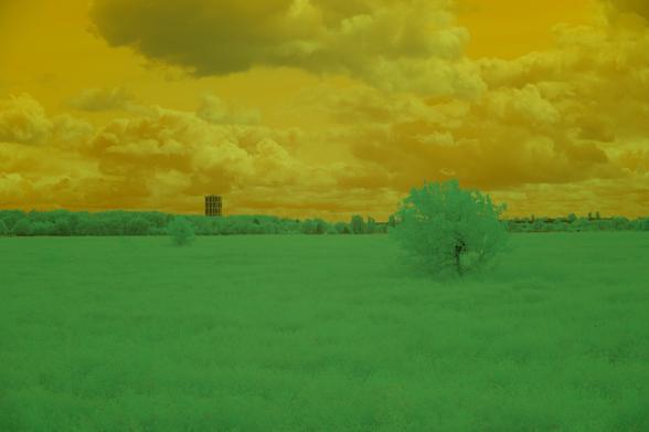 The image shows a landscape with a grassy field and a solitary tree. The sky is cloudy, and a tall structure can be seen in the background. This image has a yellowish tint, giving it a warm, almost sepia-toned appearance.