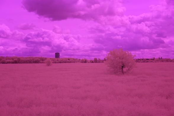 The image depicts a landscape with a grassy field and a solitary tree in the foreground. The sky is filled with clouds, and a tall structure is visible in the distance. This image has a pinkish hue, which adds a dreamlike quality to the scene.