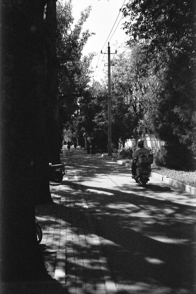 Ilford FP4 E.I. 64

**English:**
This black-and-white photograph depicts a tranquil scene in what appears to be a park or a tree-lined street. A person is riding a bicycle away from the camera down a paved path, surrounded by lush trees and greenery. The sunlight filters through the leaves, casting dappled shadows on the ground. The image evokes a sense of peace and leisurely activity in a natural setting.

**Chinese:**
这张黑白照片描绘了一个看似公园或绿树成荫的街道上的宁静场景。一个人正骑着自行车远离相机，沿着铺好的小路骑行，周围环绕着茂密的树木和绿地。阳光透过树叶，在地面上投下斑驳的阴影。这张图片唤起了一种在自然环境中平和与悠闲活动的感觉。