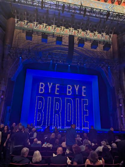 Rows of audience members in front of a stage. There are large illuminated letters forming a marquee that spell out Bye Bye Birdie in warm amber lights on a blue background