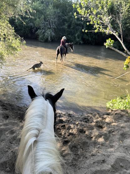 Me on an Arabian pinto mix, heading toward the river bed with water, my friend on her Tennessee Walker and her German Shepherd ahead of me in the water.