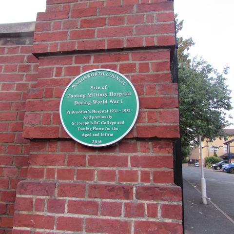 Green Plaque, which the 'AI Detect from Picture' could not. As an actual intelligence I too am lazy...