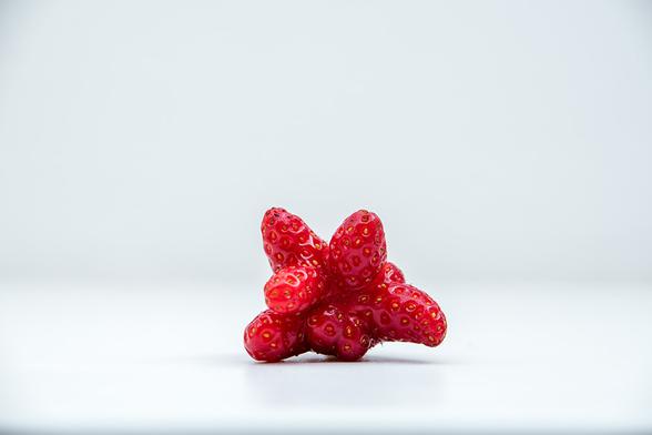 Eine rote Erdbeere in weißer Umgebung. Die Erdbeere sieht aus wie eine kleine Explosion. "Finger" sind in alle Richtungen gewachsen.