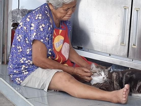 A older lady sitting on the floor with a large tabby cat sitting with her getting a pat